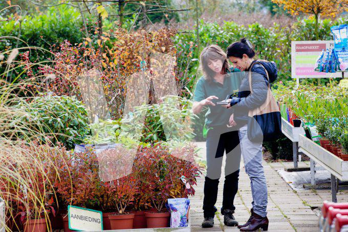 bloemen en planten vvbvanbree     1153